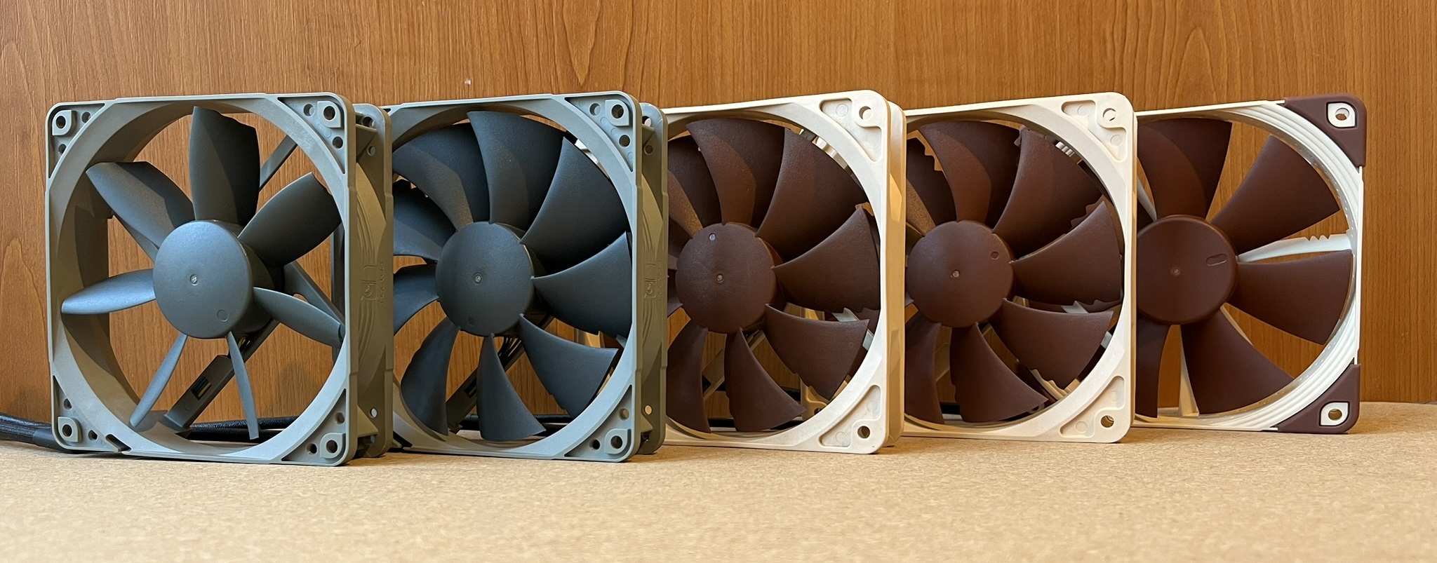 noctua